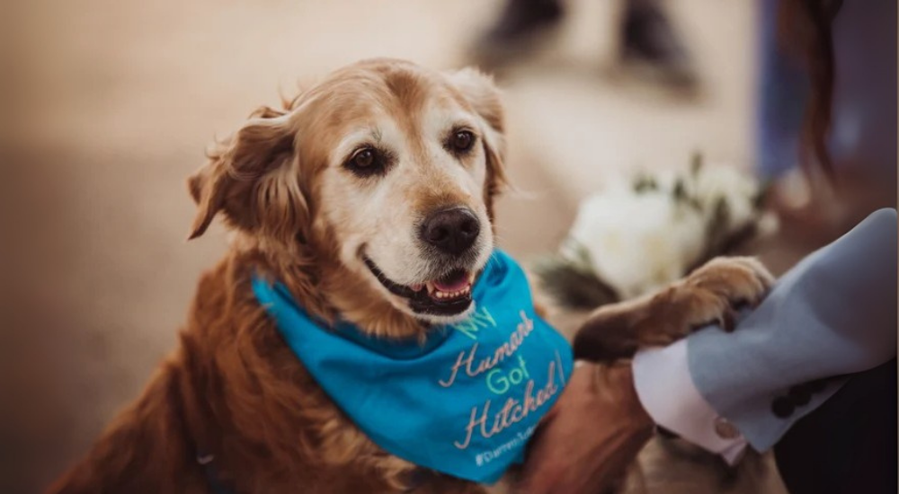 Showing off Their Unique Style