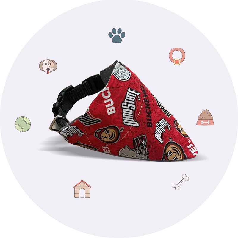 Pet Accessories