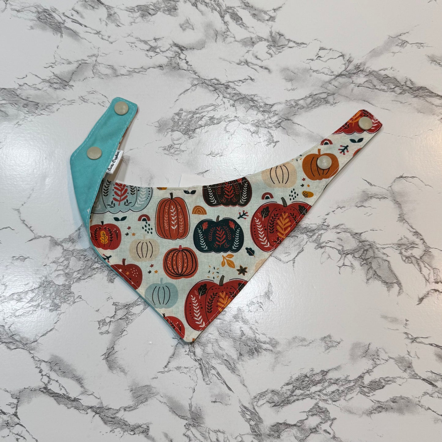 Teal Pumpkins - Pet Bandanna