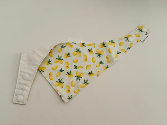 Lemon - Pet Bandanna