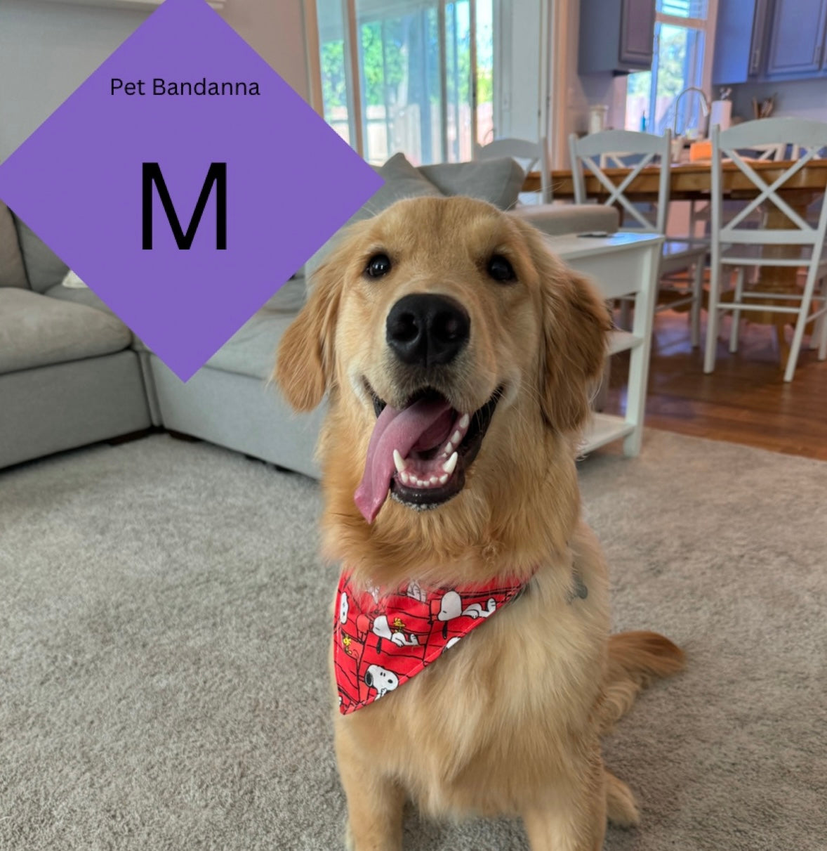 M - Pet Bandanna