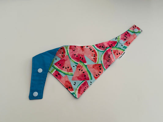 Watermelon - Pet Bandanna