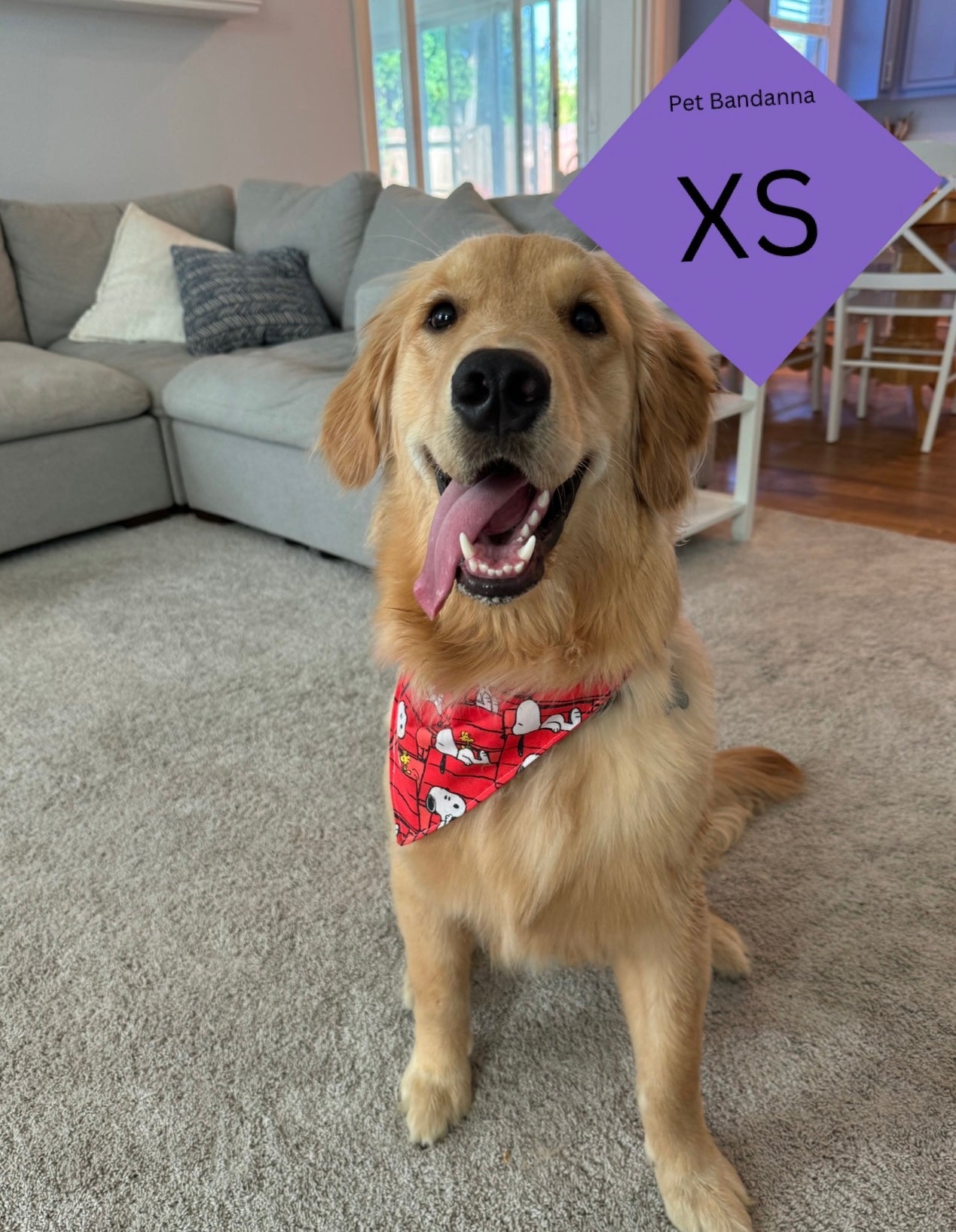 XS - Pet Bandanna