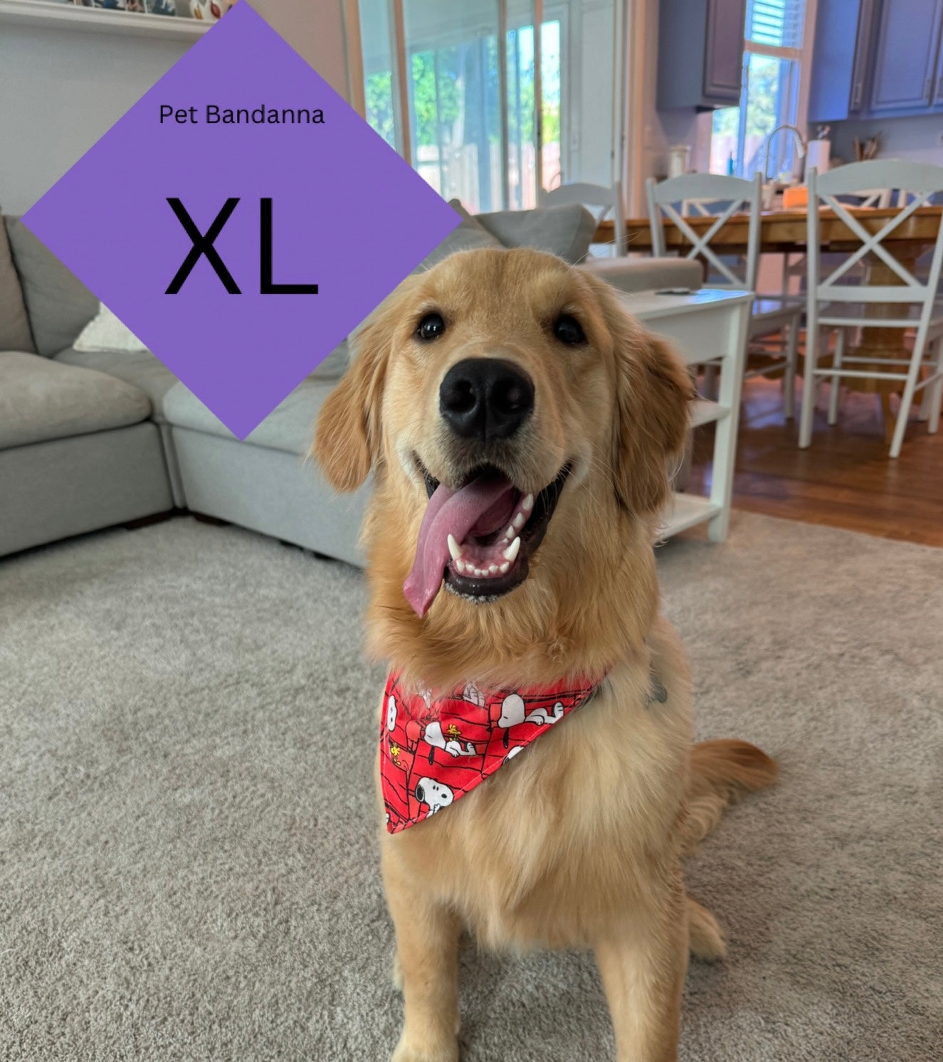 XL - Pet Bandanna