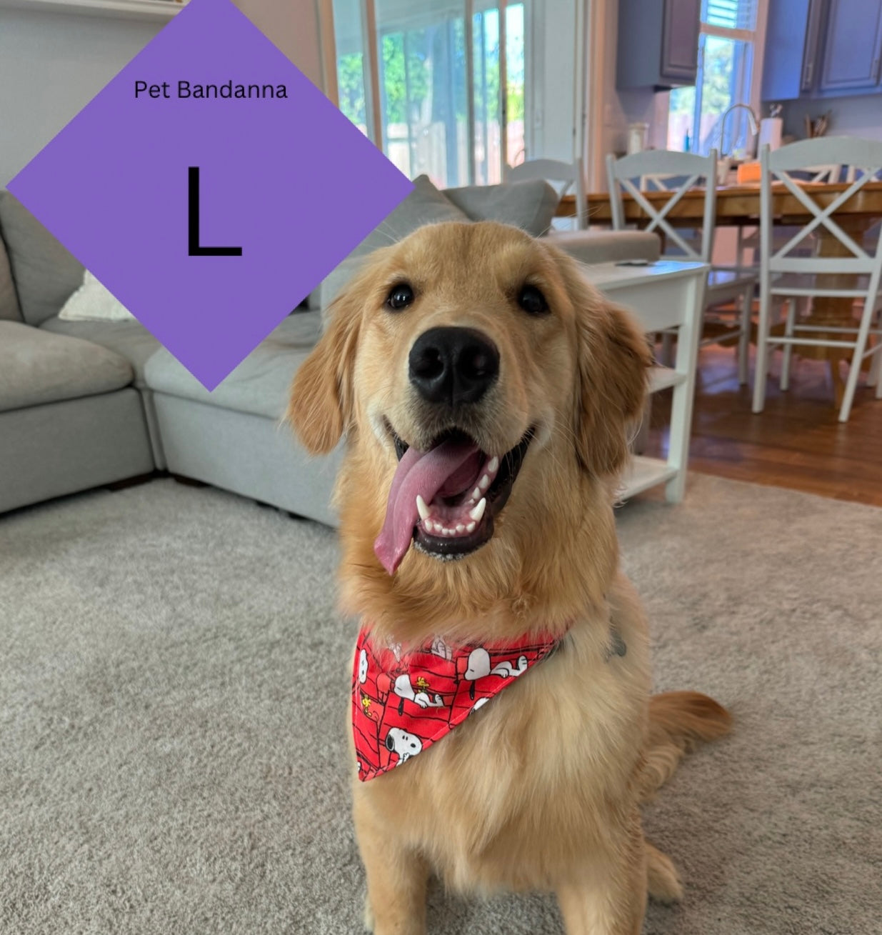 L - Pet Bandanna