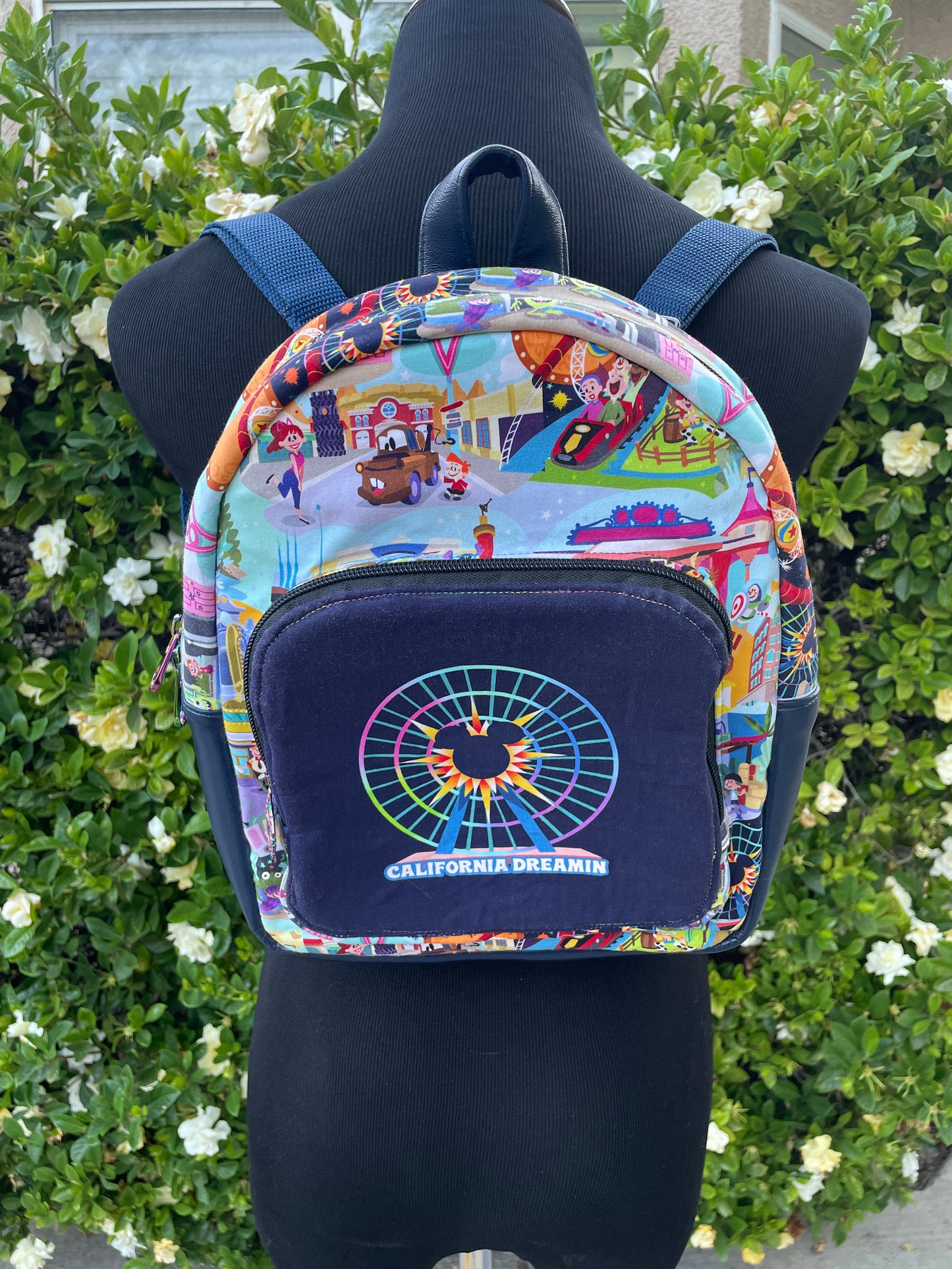 California Dreaming Lindsport Mini Backpack